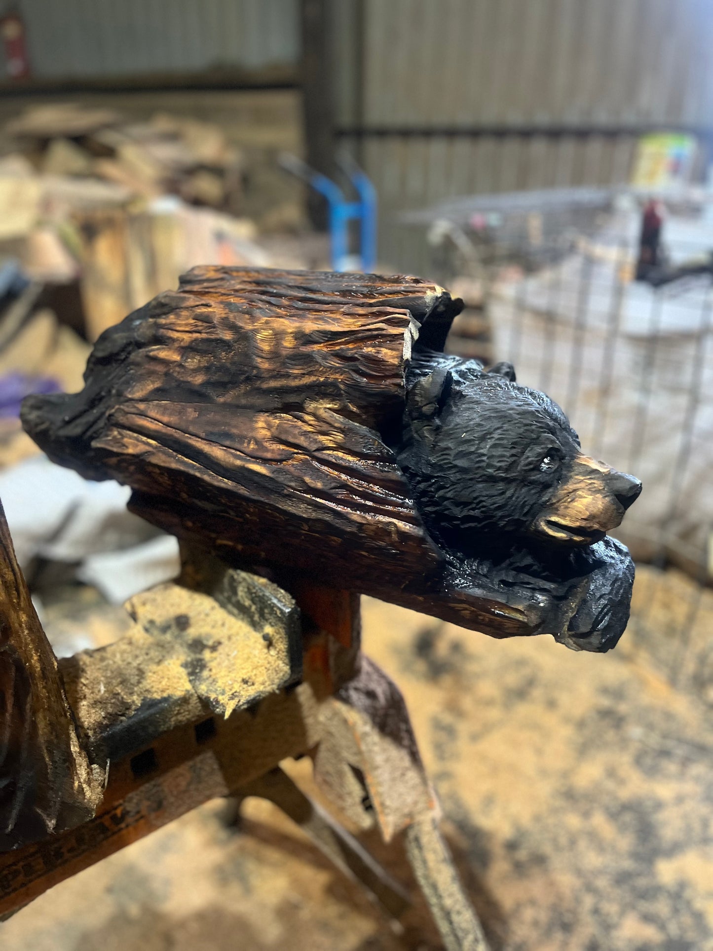 Bear in a Log