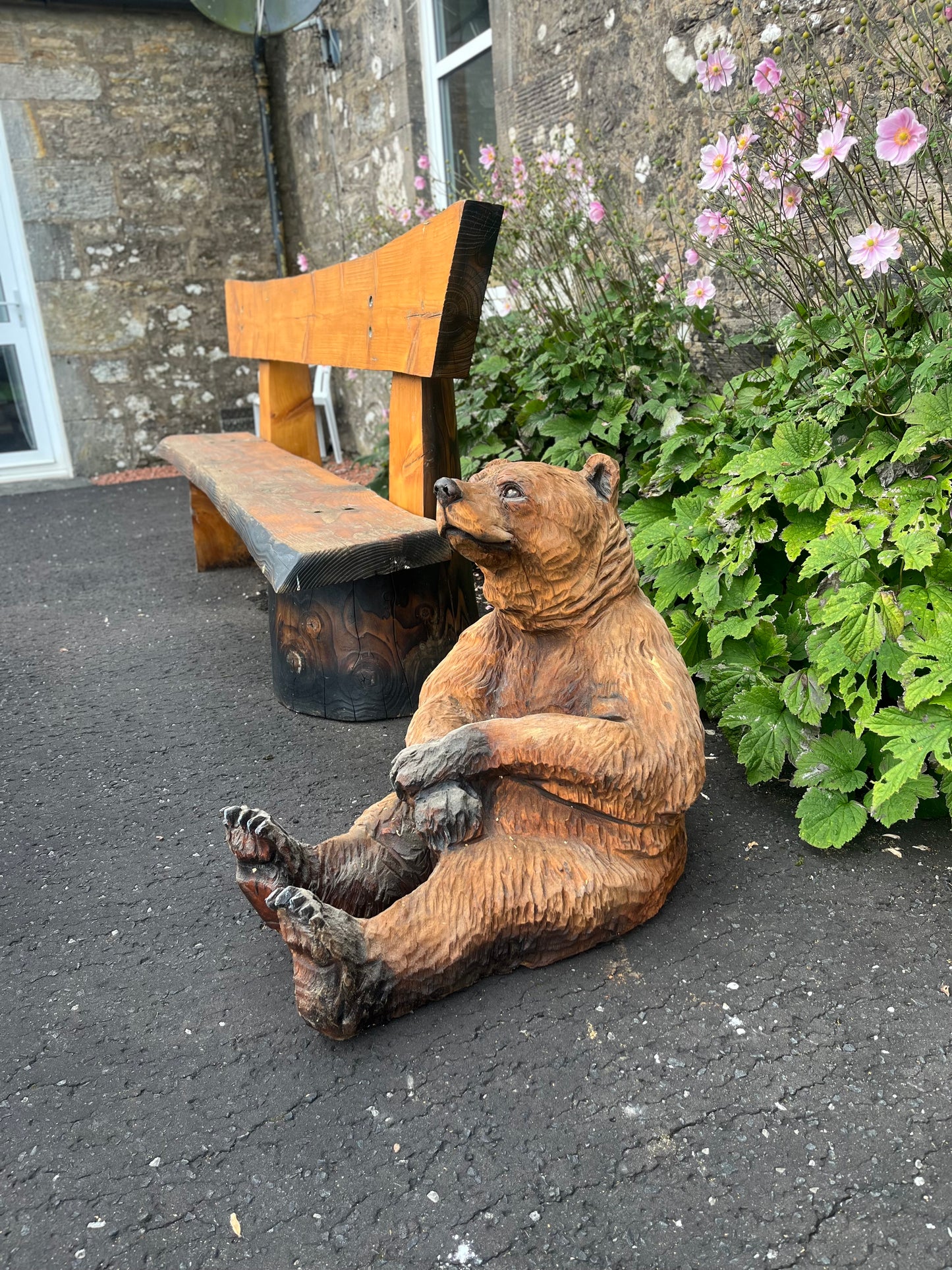 Sitting Brown Bear