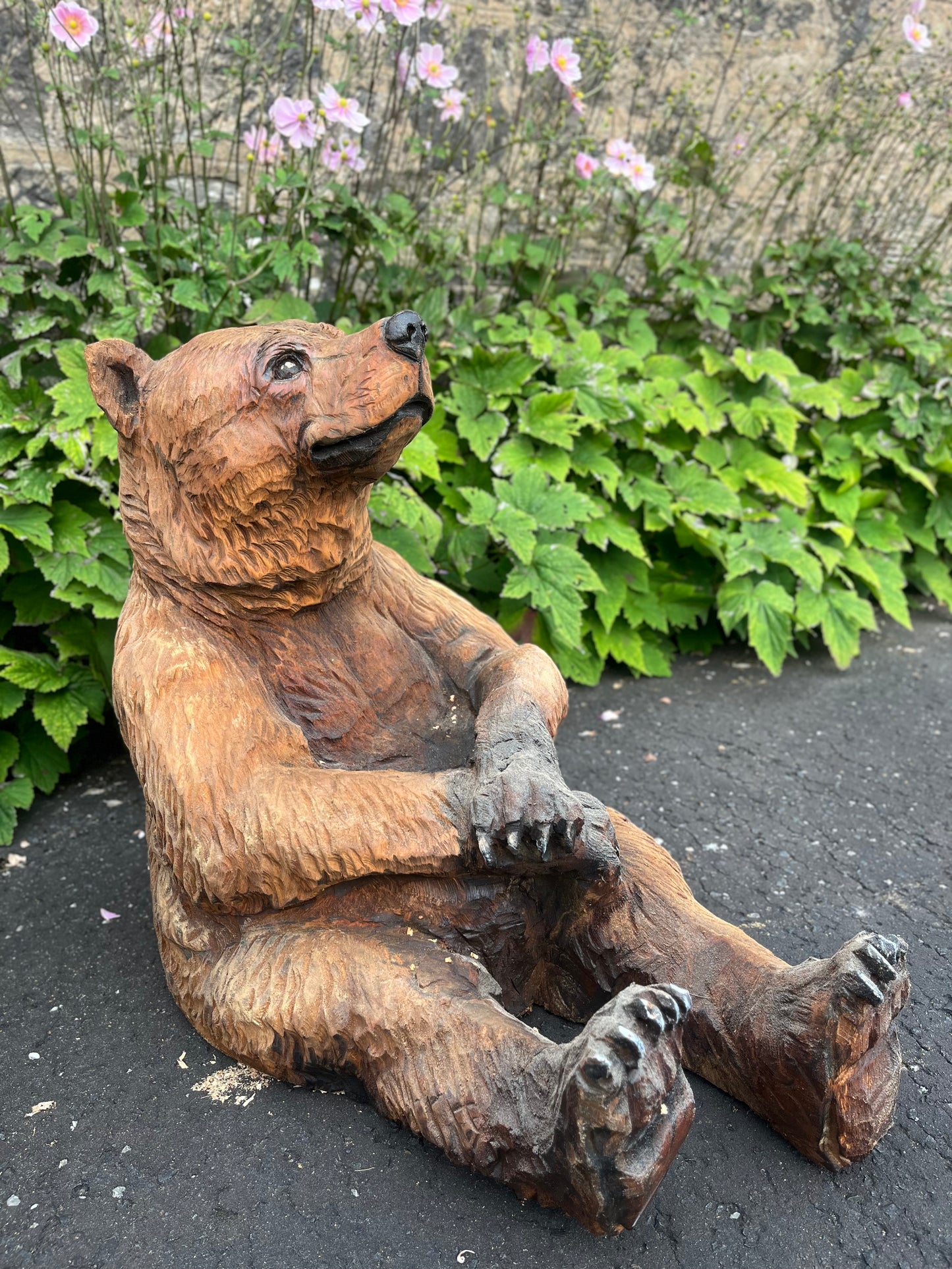 Sitting Brown Bear