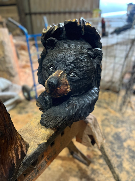 Bear in a Log