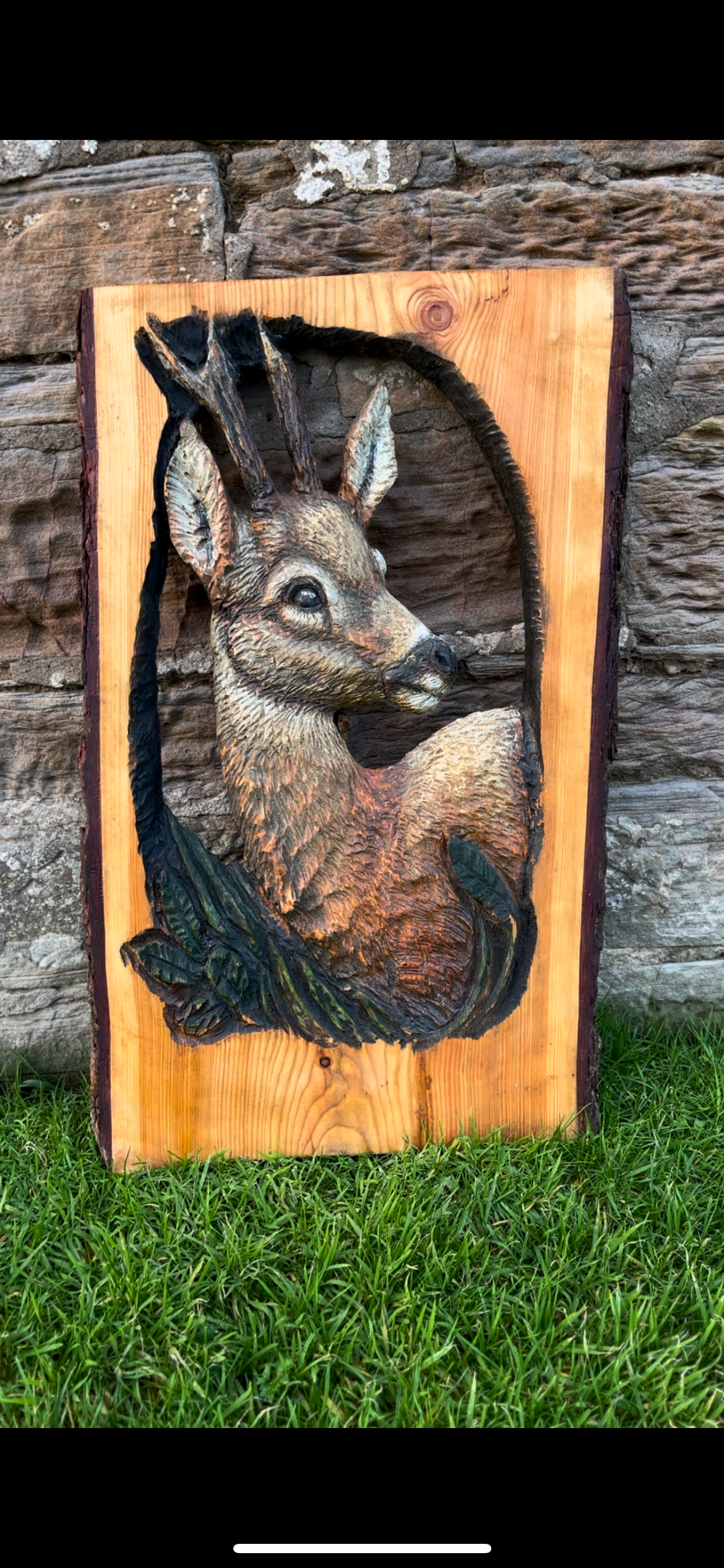 Roe Deer Wall Art